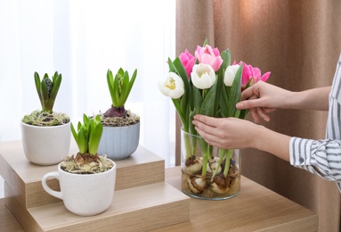 Photo of Woman checking beautiful tulips with bulbs indoors, closeup