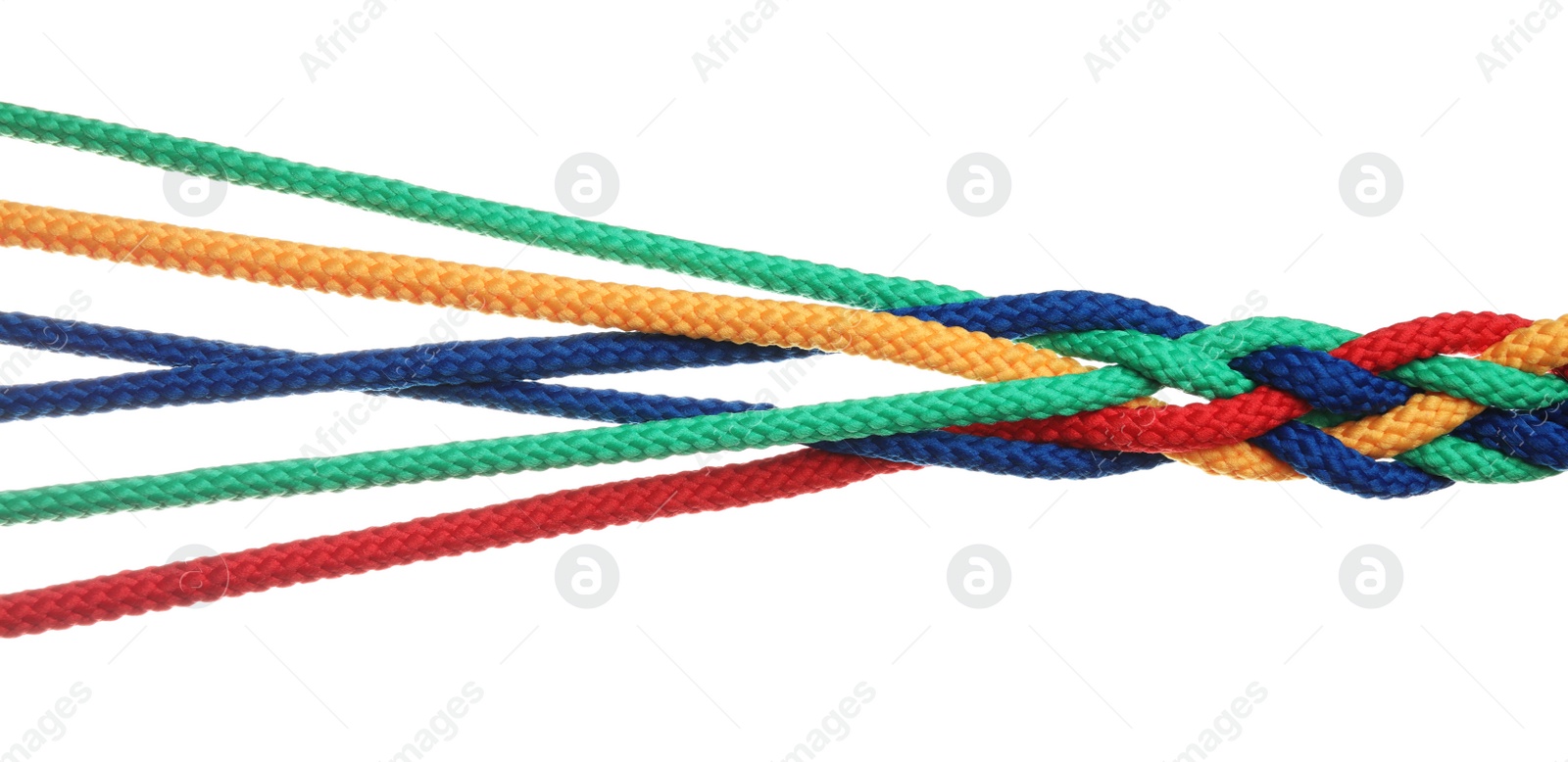 Photo of Braided colorful ropes isolated on white. Unity concept