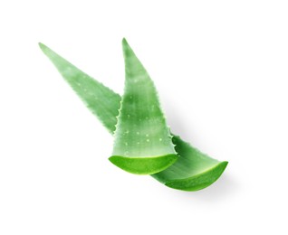 Green aloe vera leaves isolated on white