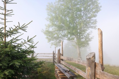Photo of Trees growing near wooden fence in foggy morning