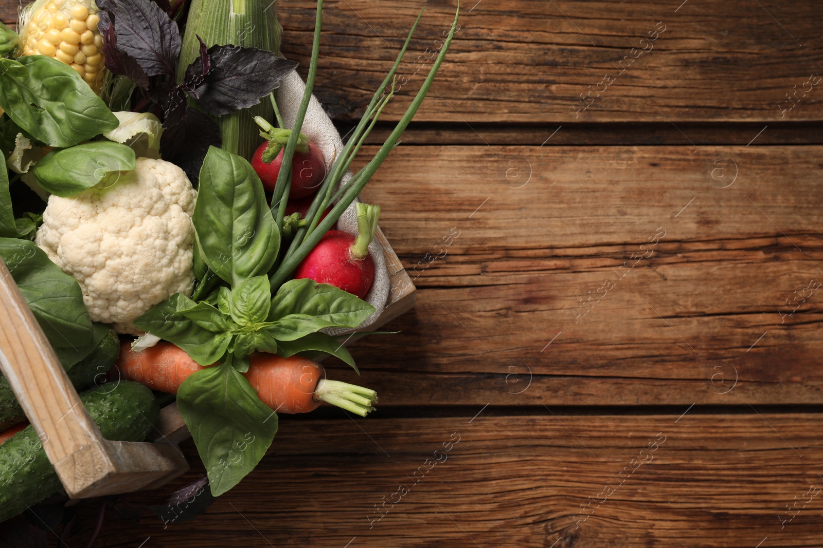 Photo of Many different vegetables on wooden table, top view. Space for text