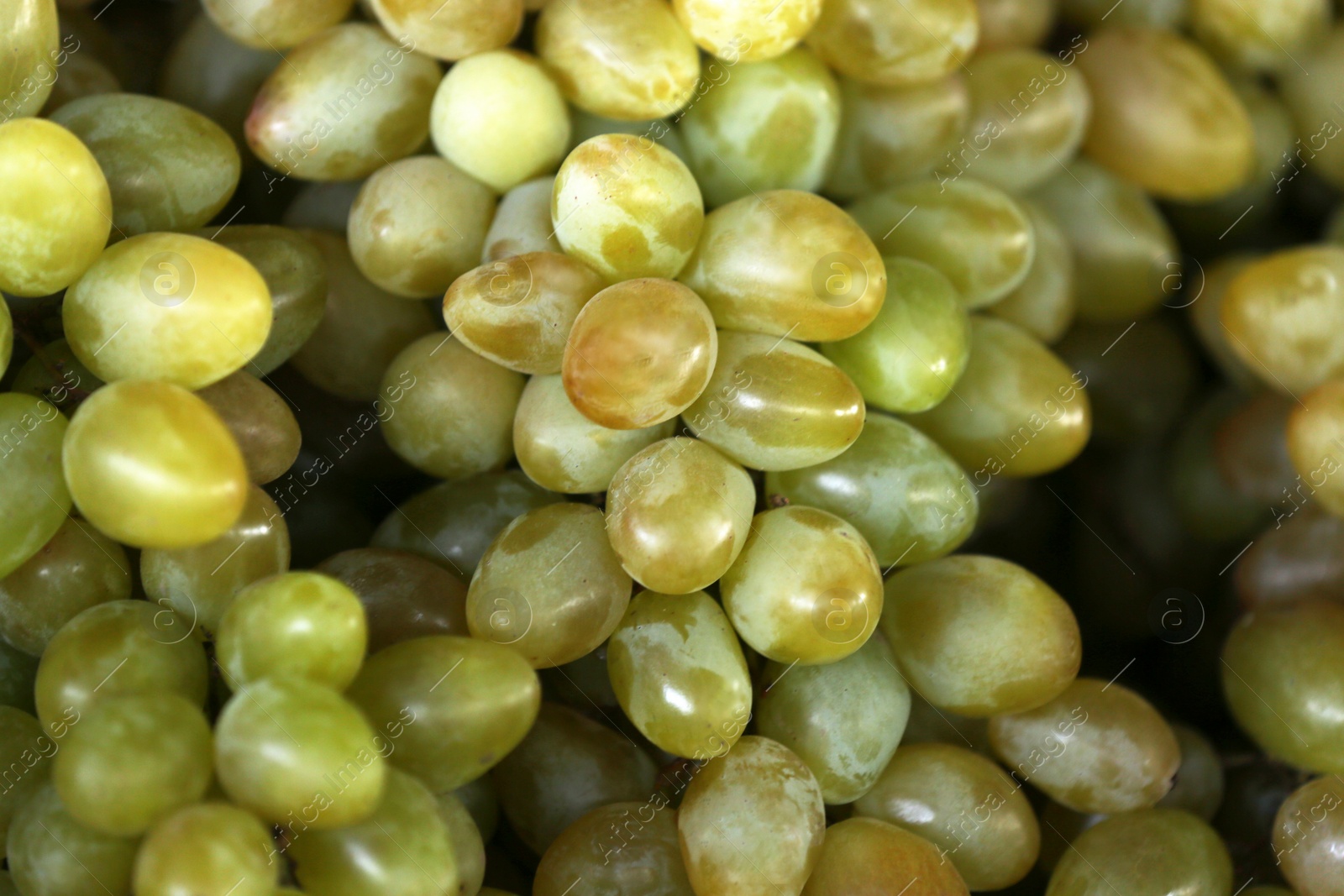 Photo of Fresh ripe juicy grapes as background, closeup