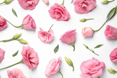 Photo of Beautiful pink Eustoma flowers on white background, flat lay