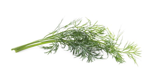 Photo of Fresh green dill branches isolated on white