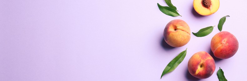 Image of Fresh ripe peaches and green leaves on light violet background, flat lay. Banner design with space for text