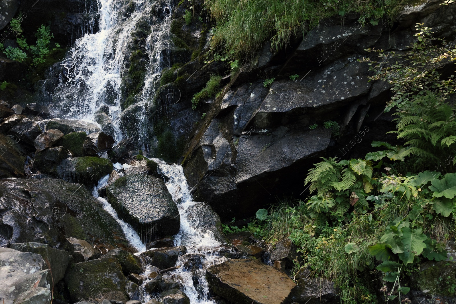 Photo of Picturesque view of mountain waterfall and green plants