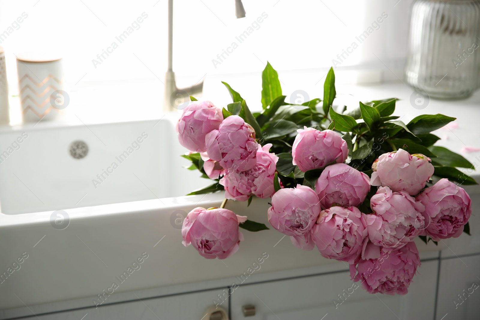 Photo of Bouquet of beautiful pink peonies in kitchen sink