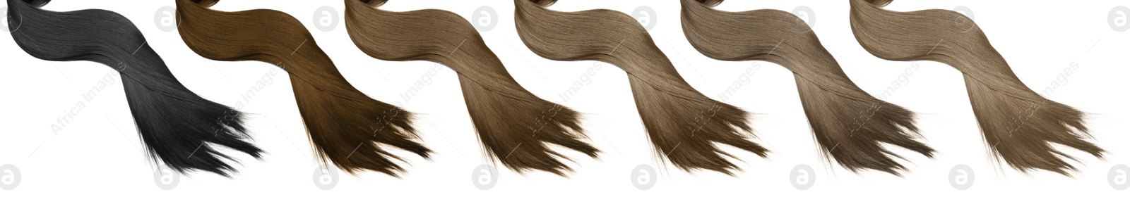 Image of Strands of different beautiful hair on white background, top view. Banner design