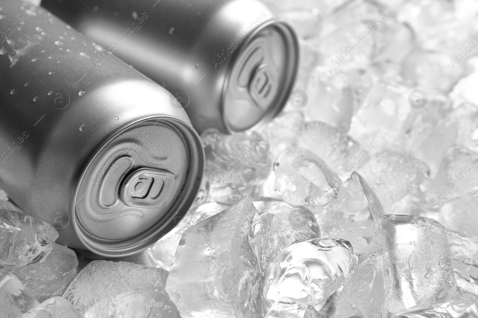 Photo of Tin cans on pile of ice cubes