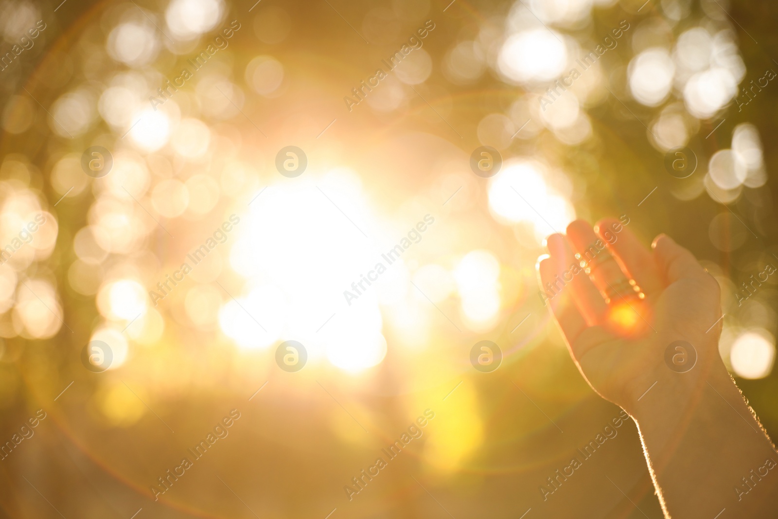 Photo of Young woman enjoying beautiful sunset, closeup view with space for text. Nature healing power