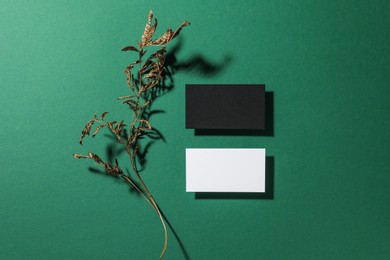 Photo of Empty business cards and dried plant on green background, flat lay. Mockup for design