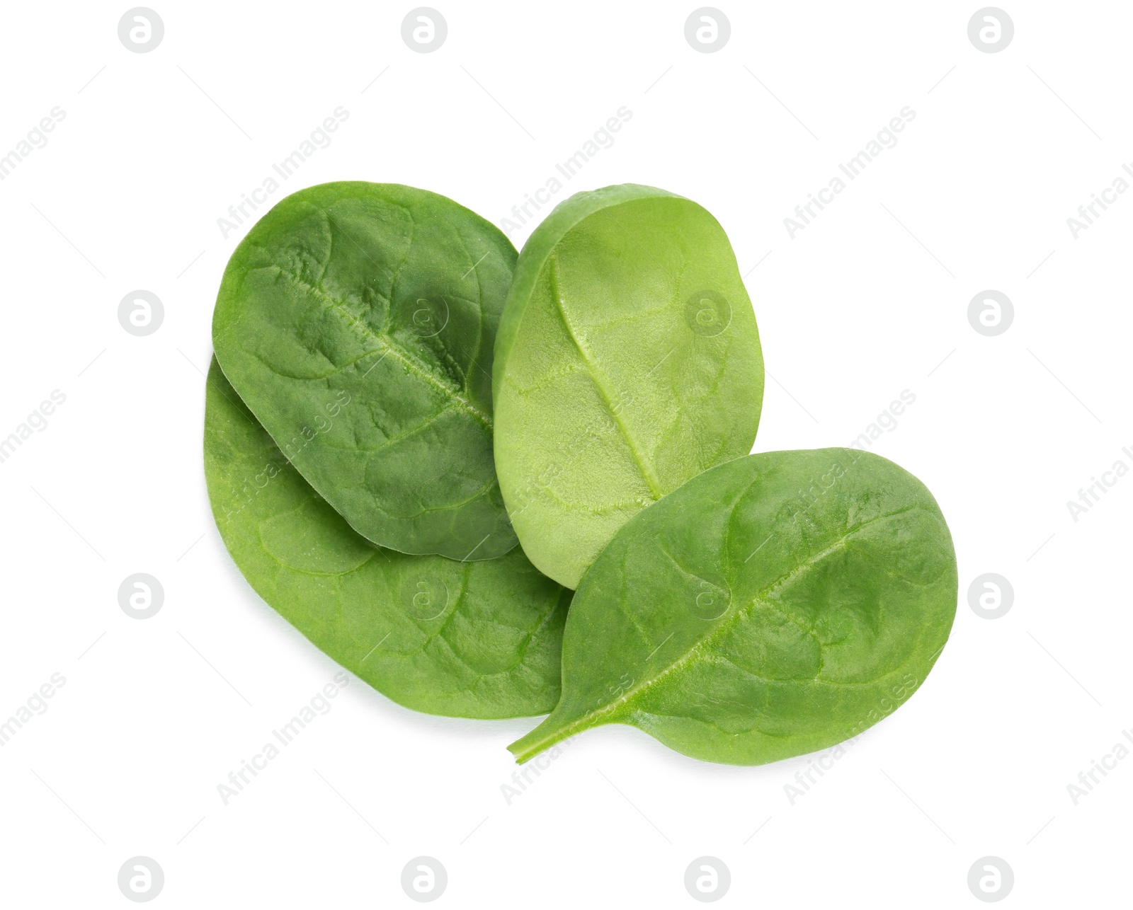 Photo of Fresh leaves of spinach isolated on white, top view