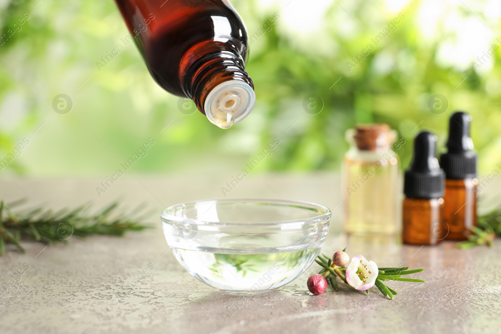 Photo of Dripping natural tea tree oil in bowl on table