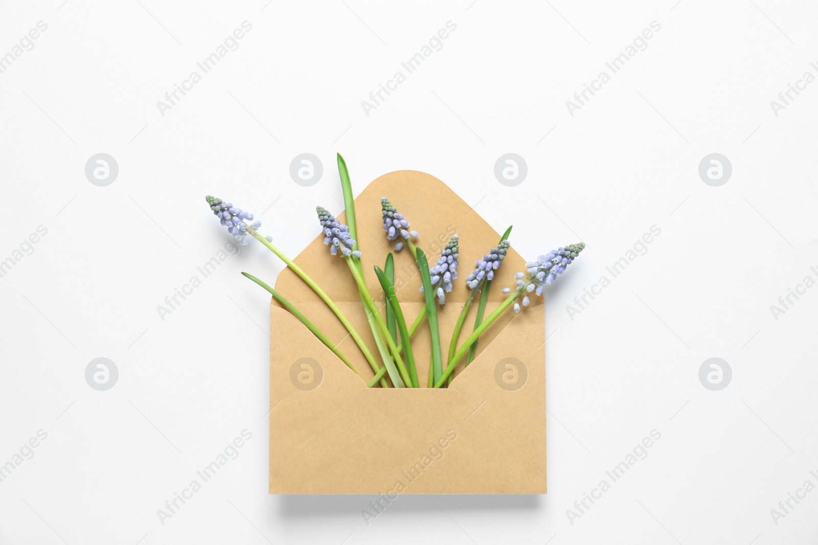 Photo of Envelope with beautiful spring muscari flowers on light background, top view