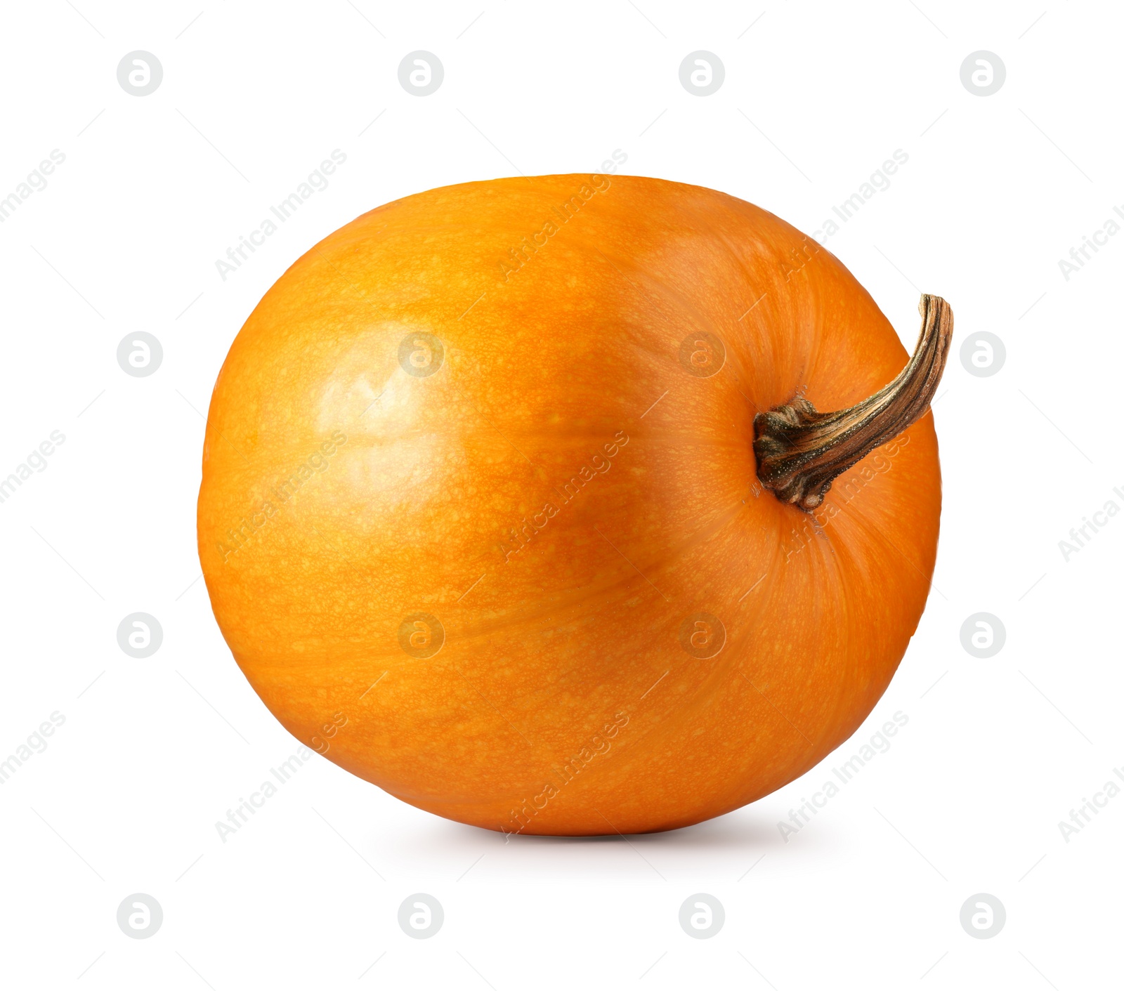 Photo of One fresh orange pumpkin isolated on white