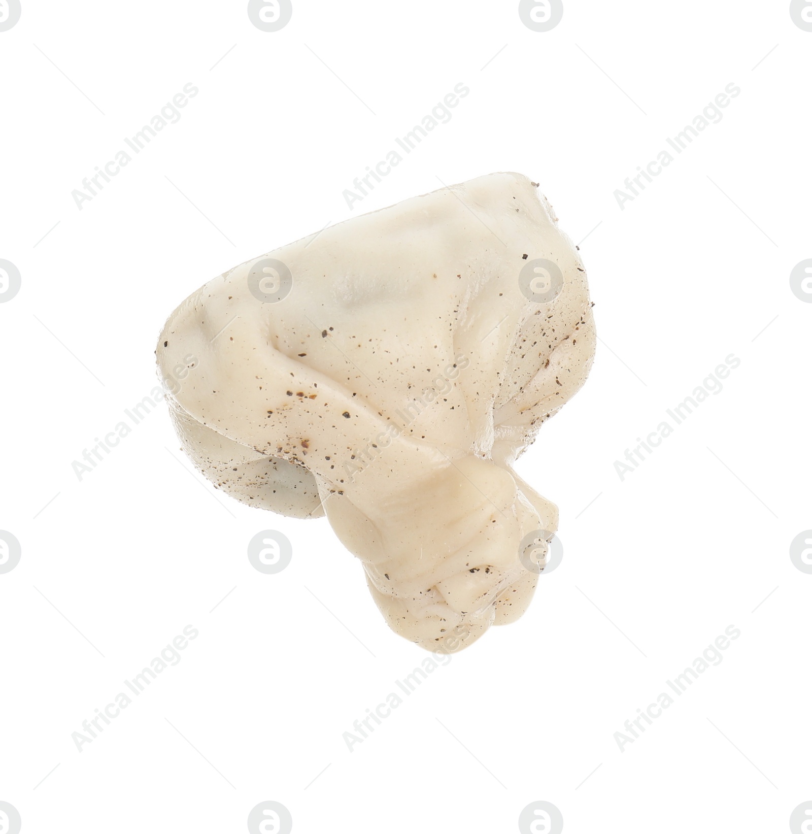 Photo of One tasty khinkali (dumpling) with spices isolated on white. Georgian cuisine