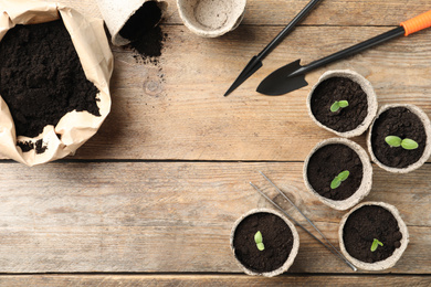 Young seedlings and gardening tools on wooden table, flat lay. Space for text