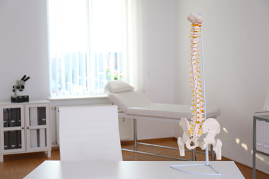 Photo of Human spine model on table in orthopedist's office