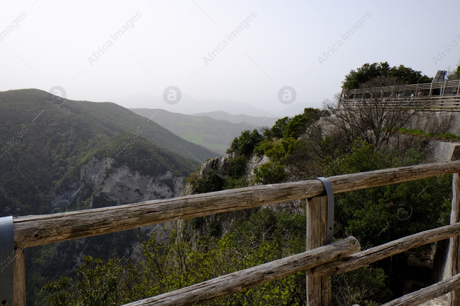 Photo of Picturesque view of green forest in mountains