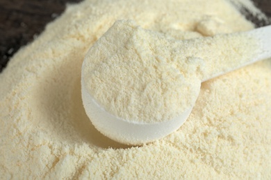 Photo of Pile of protein powder and scoop on table, closeup