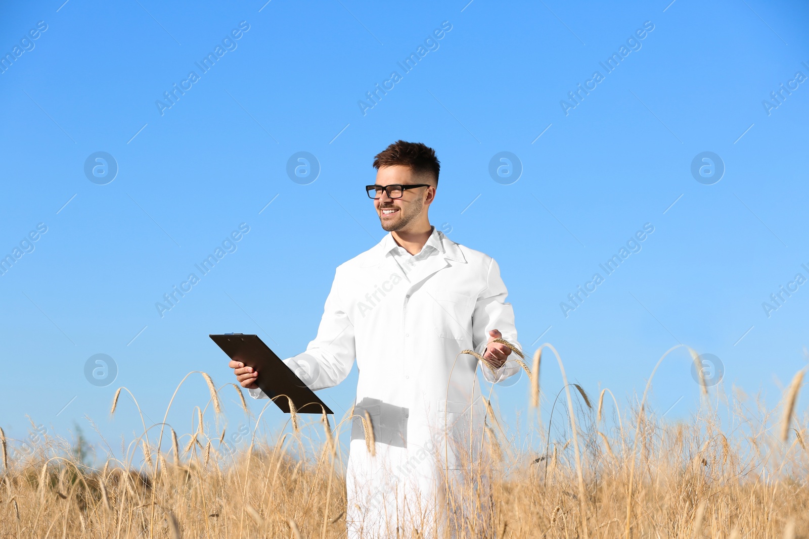 Photo of Agronomist with clipboard in wheat field. Cereal grain crop