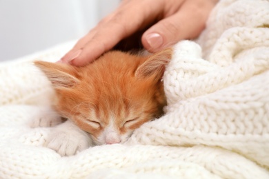 Photo of Woman stroking sleeping little kitten on white knitted blanket, closeup view