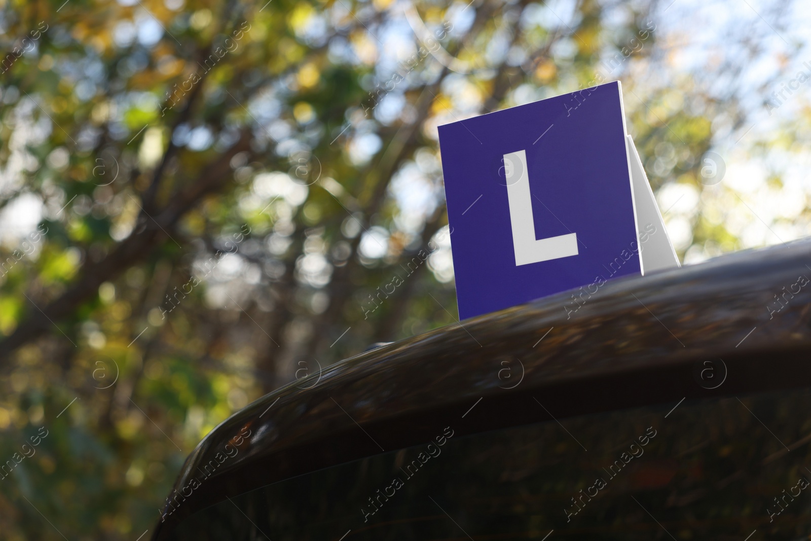 Photo of L-plate on car outdoors, low angle view with space for text. Driving school