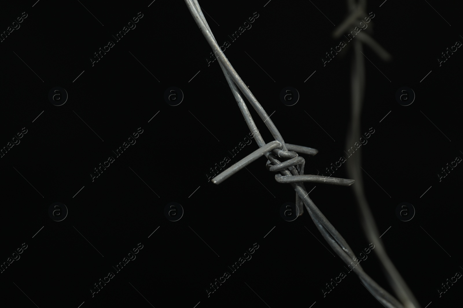 Photo of Metal barbed wire on black background, closeup. Space for text