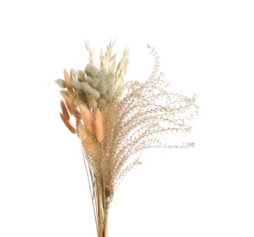 Photo of Bouquet of dried flowers on white background