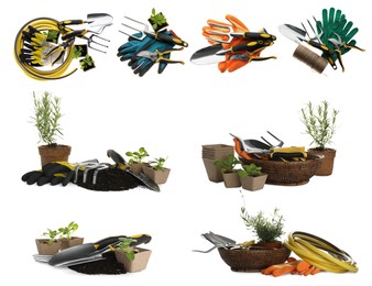 Set of different gardening tools on white background