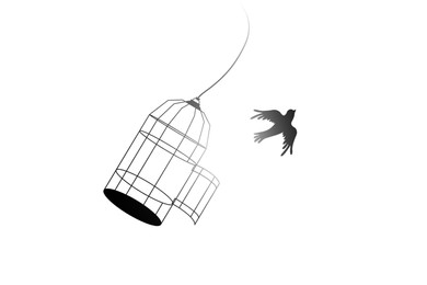 Image of Freedom. Bird flying out of open cage on white background