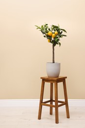 Photo of Idea for minimalist interior design. Small potted lemon tree with fruits on wooden table near beige wall indoors