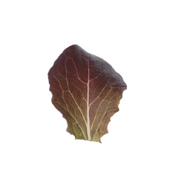 Leaf of fresh red lettuce isolated on white