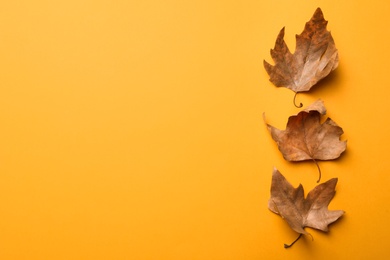 Photo of Dry autumn leaves on yellow background, flat lay. Space for text