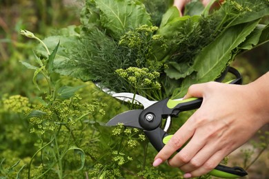 Photo of Woman cutting fresh green dill with pruner outdoors, closeup. Collecting herbs