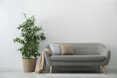 Photo of Grey sofa with pillows and beautiful houseplant in stylish living room interior