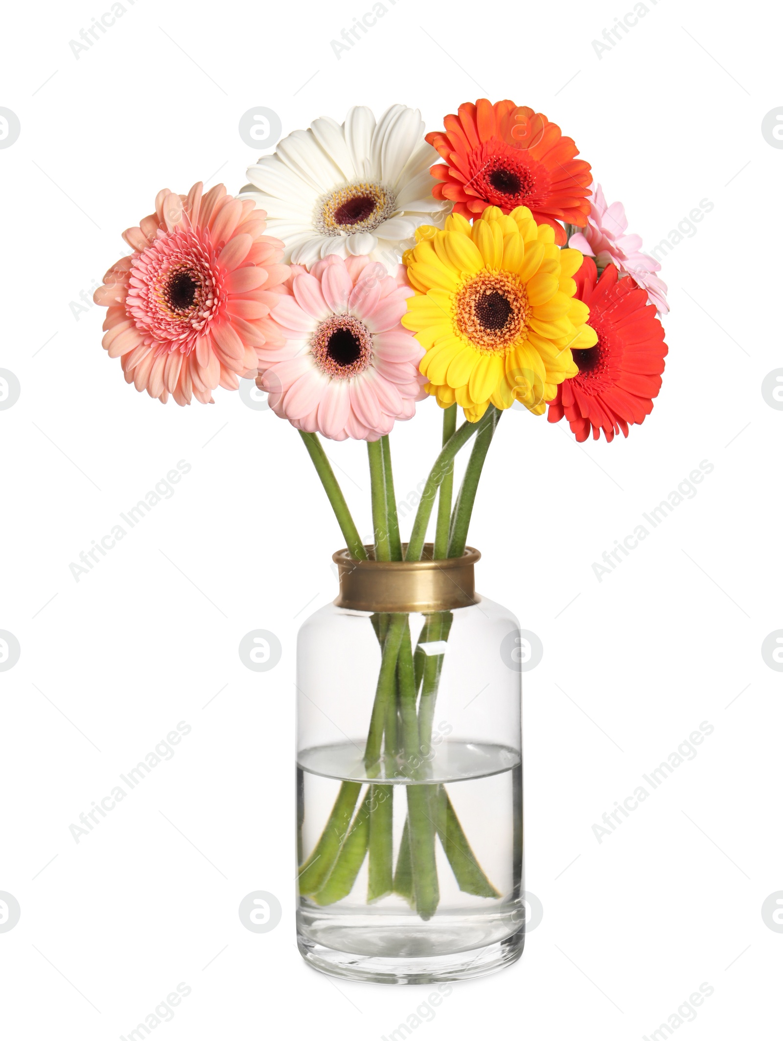 Photo of Bouquet of beautiful colorful gerbera flowers in vase isolated on white