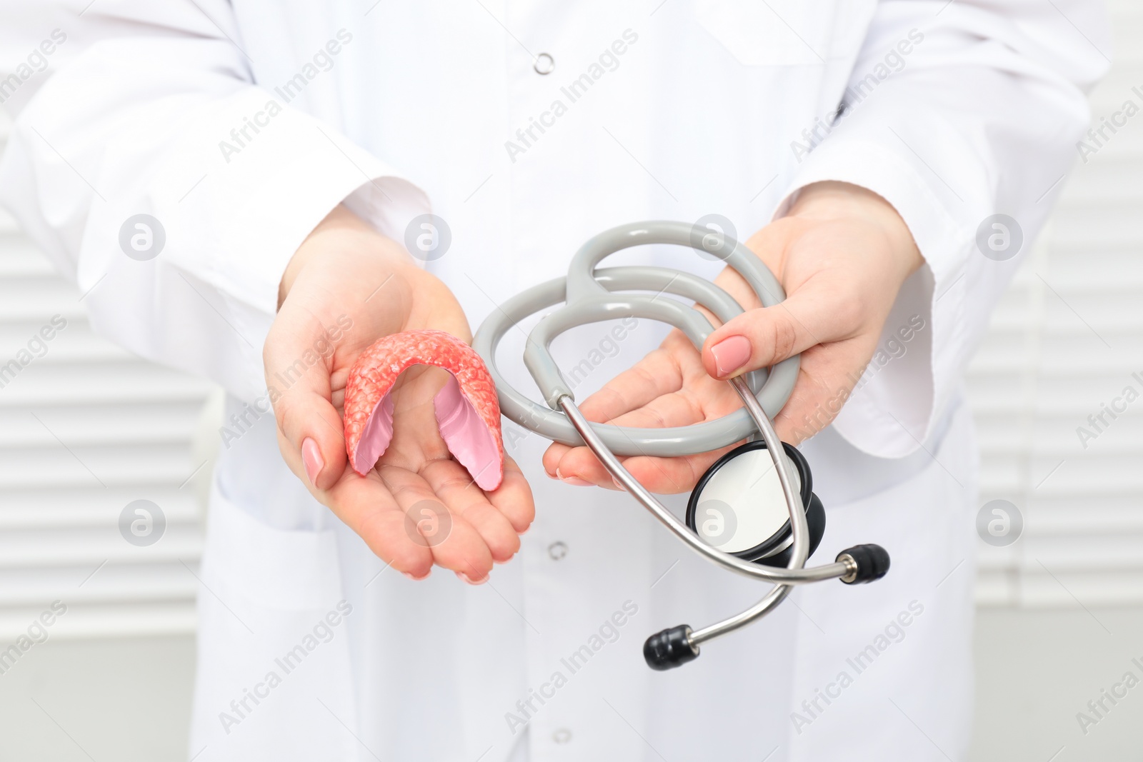 Photo of Endocrinologist holding stethoscope and model of thyroid gland, closeup