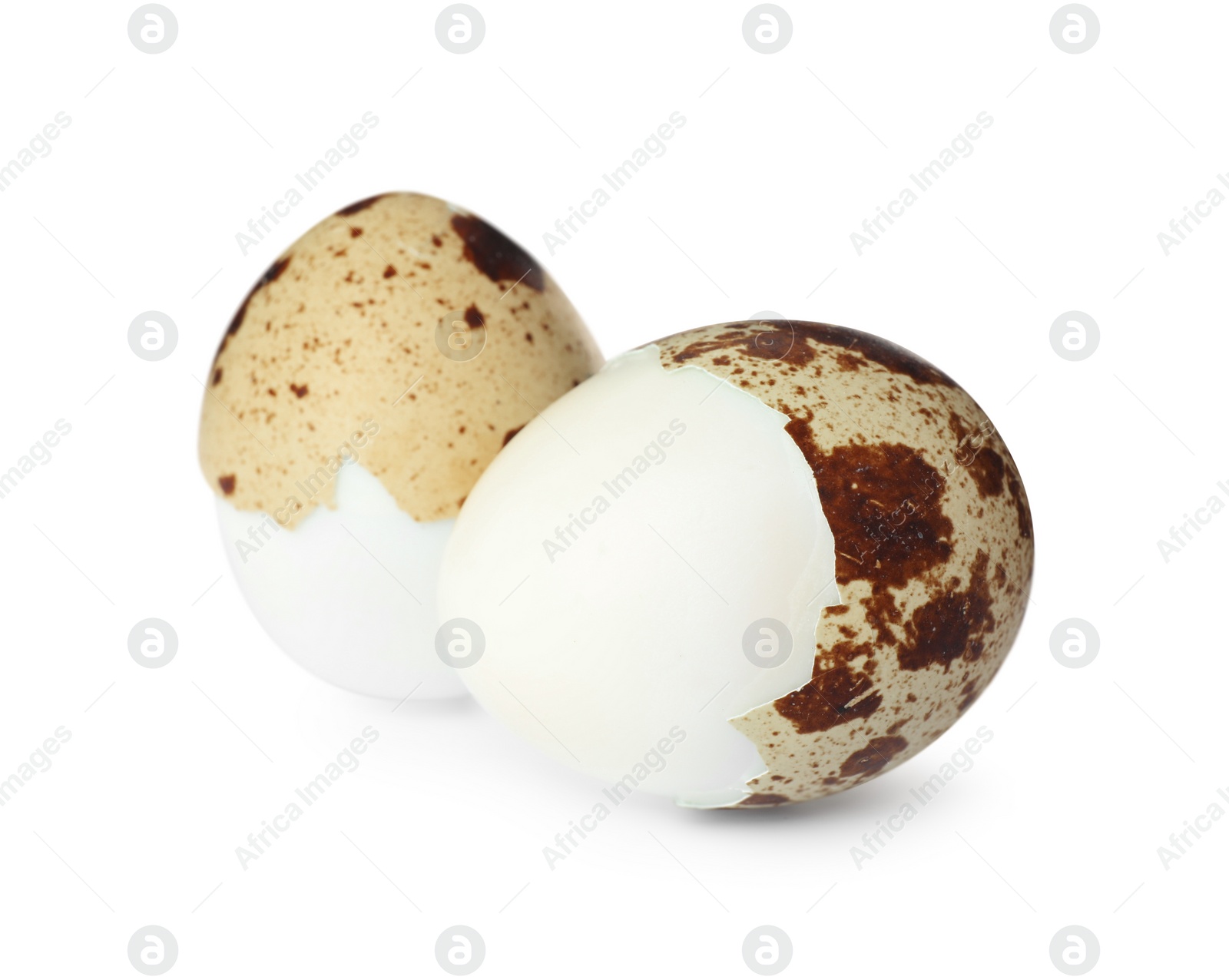 Photo of Boiled quail eggs in shell isolated on white