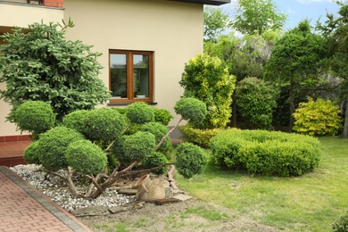 Photo of Picturesque view of beautiful house and garden on sunny day