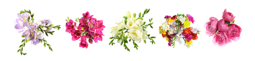 Image of Set with beautiful freesia and peony flowers on white background. Banner design