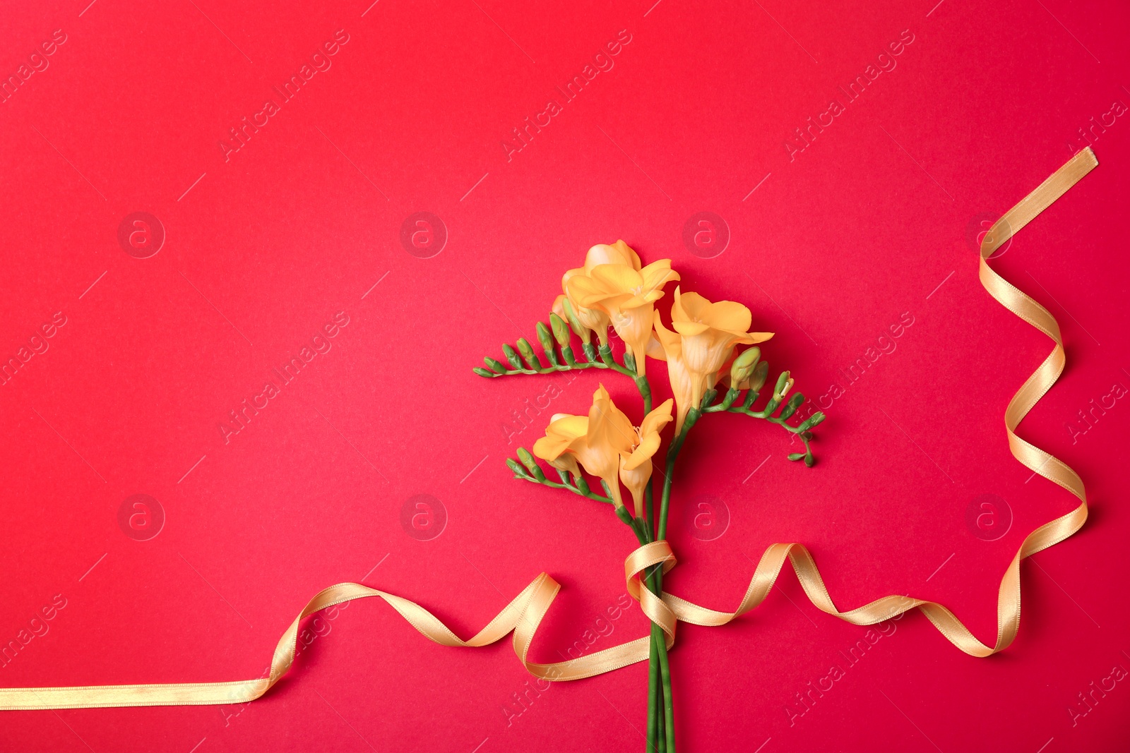 Photo of Beautiful freesia flowers with ribbon on color background