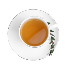 Cup of green tea with eucalyptus leaves on white background, top view