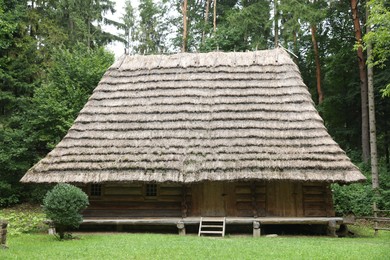 Old wooden hut with straw roof in forest on summer day