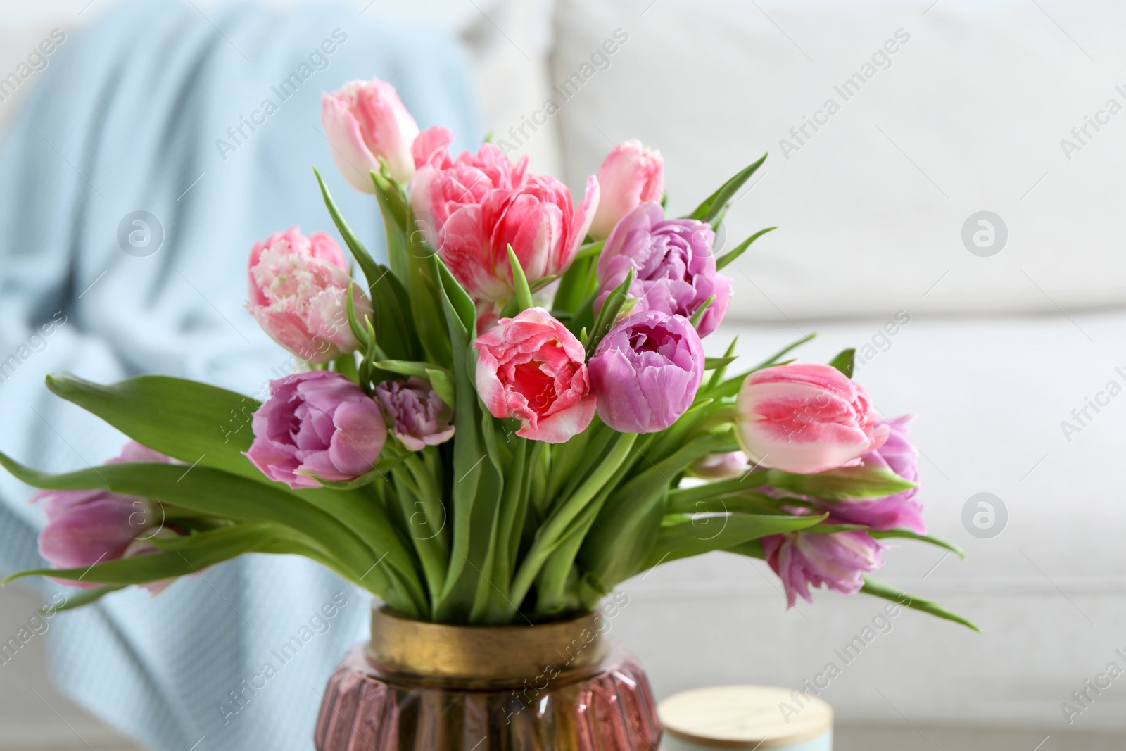 Photo of Beautiful bouquet of colorful tulip flowers indoors, closeup