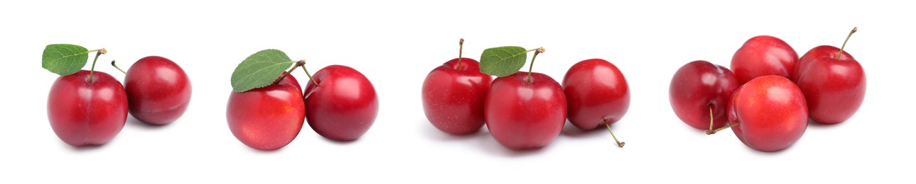 Image of Set with delicious ripe cherry plums on white background. Banner design