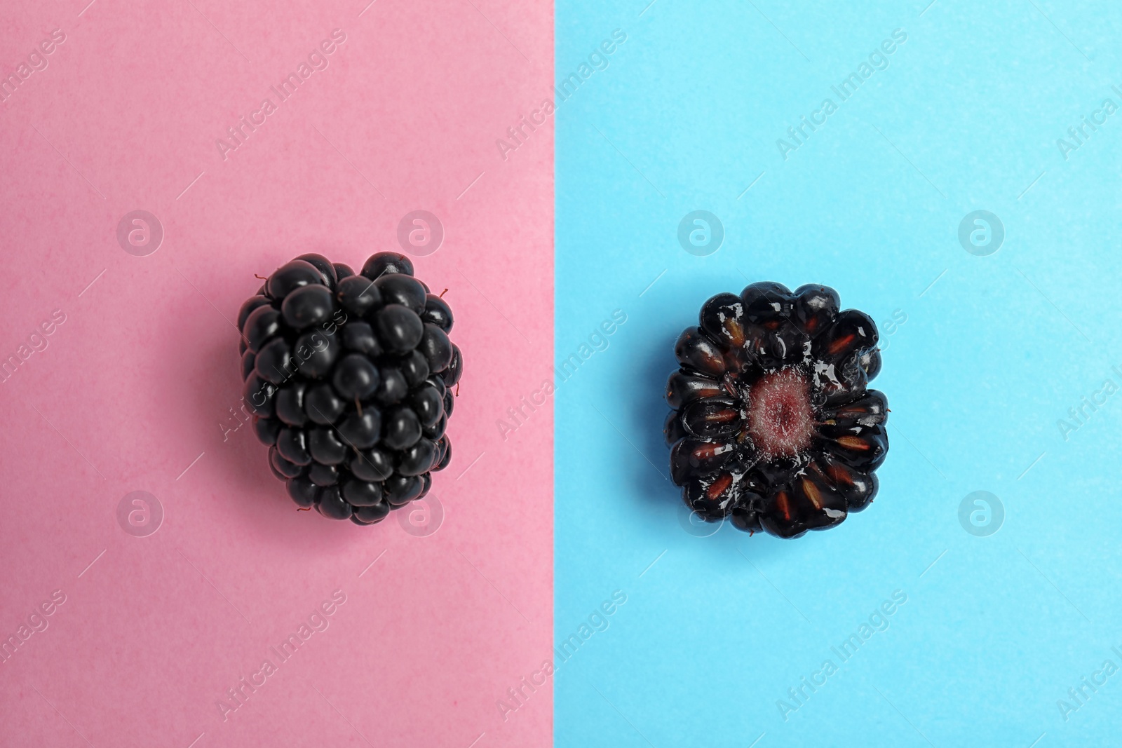 Photo of Flat lay composition with ripe blackberries on color background