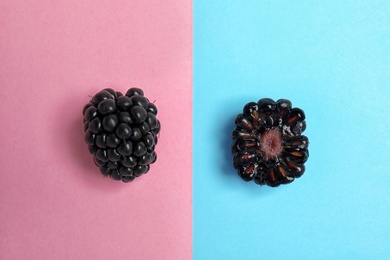 Flat lay composition with ripe blackberries on color background