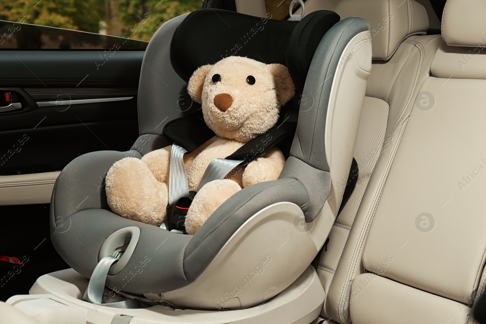 Photo of Safety seat for baby with cute toy bear