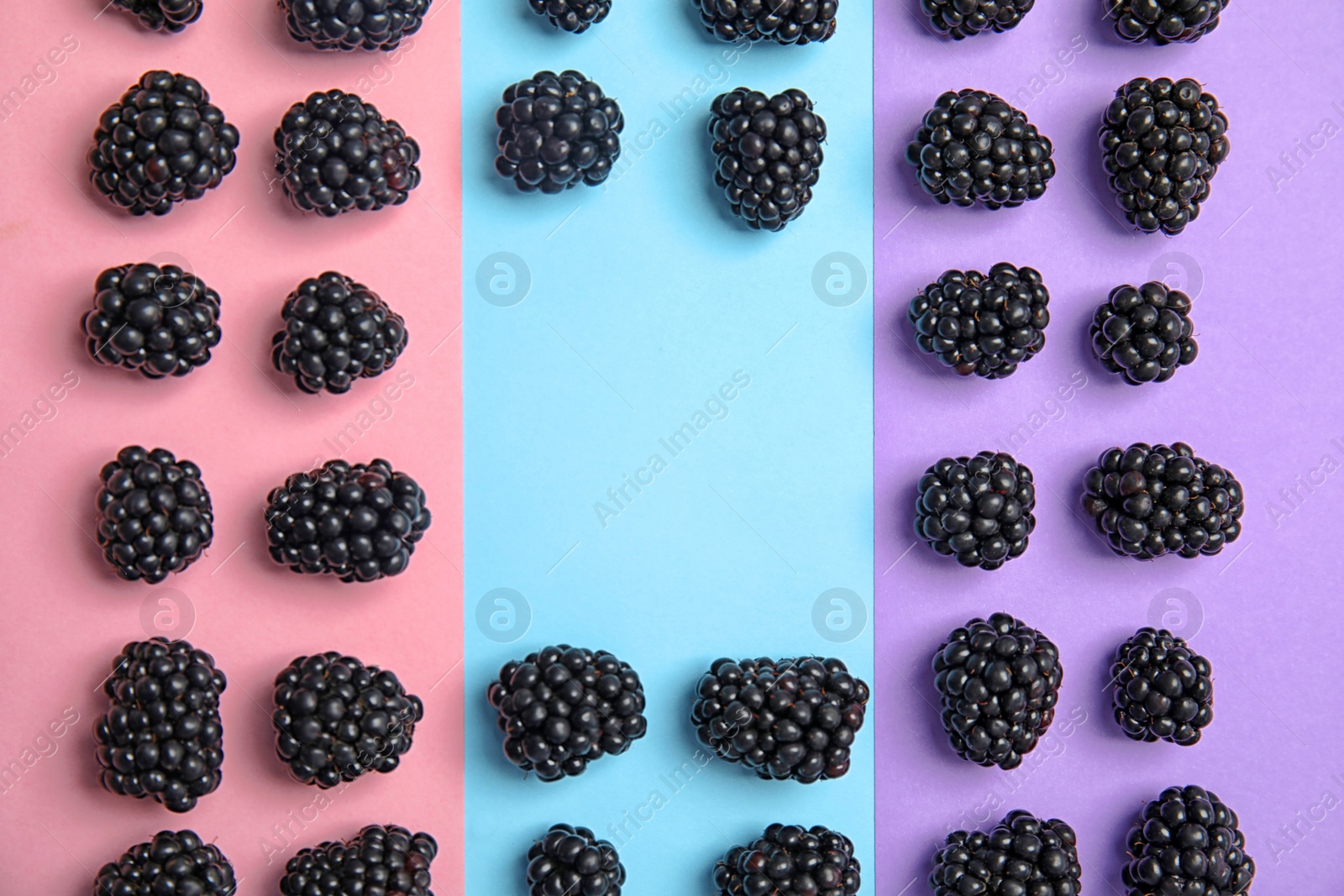 Photo of Flat lay composition with ripe blackberries on color background